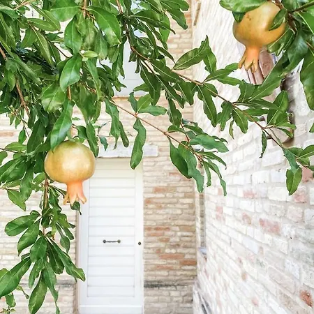 Rilassati - Rilassati - Infinity Pool - Prive Terras - Familie Vriendelijk * Mogliano